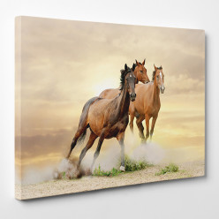 Tableau toile - Chevaux 8