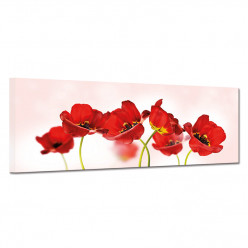 Tableau toile - Coquelicots 12