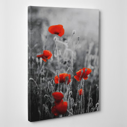 Tableau toile - Coquelicots 2