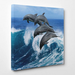 Tableau toile - Dauphins