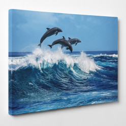 Tableau toile - Dauphins 2