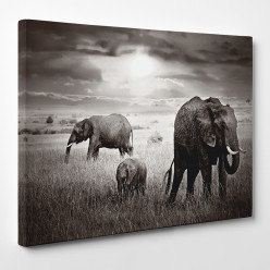 Tableau toile - Eléphants 6