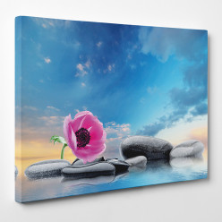 Tableau toile - Fleur Galets 22