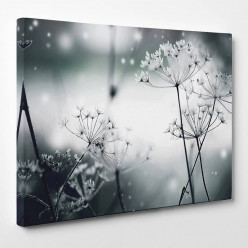 Tableau toile - Fleurs 16