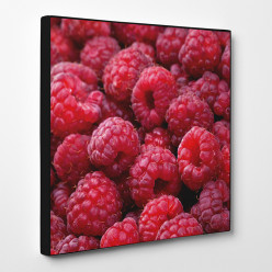 Tableau toile - Framboises