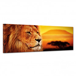 Tableau toile - Lion 7