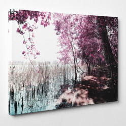 Tableau toile - Nature 48