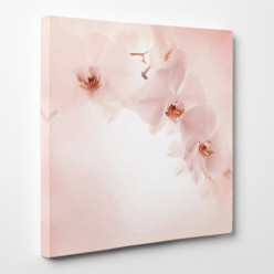 Tableau toile - Orchidées 16