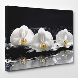 Tableau toile - Orchidées 20