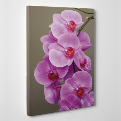 Tableau toile - Orchidées 3