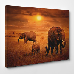 Tableau toile - Savane