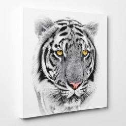 Tableau toile - Tigre 10