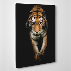 Tableau toile - Tigre