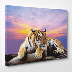 Tableau toile - Tigre 23