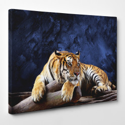 Tableau toile - Tigre 27