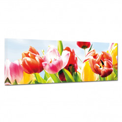 Tableau toile - Tulipes