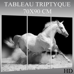 Triptyque Forex Cheval