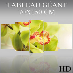 Triptyque Forex Orchidée