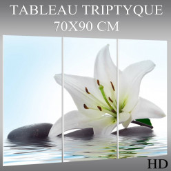 Triptyque Forex Zen