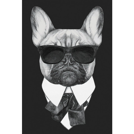 Poster - Affiche chien hipster