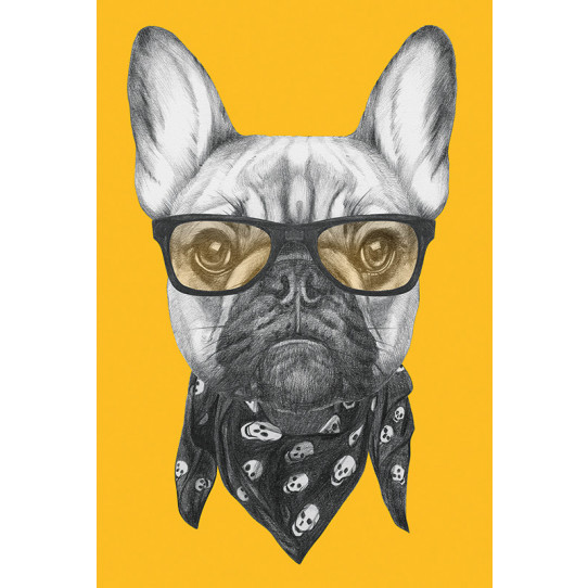 Poster - Affiche chien hipster