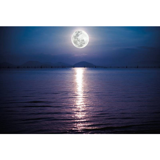 Poster - Affiche mer pleine lune