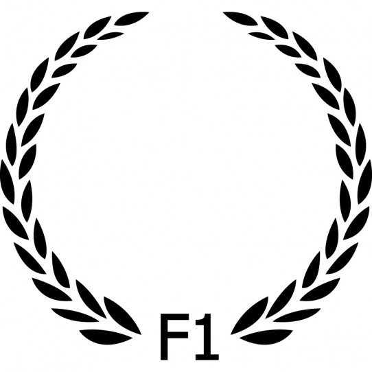 Stickers F1