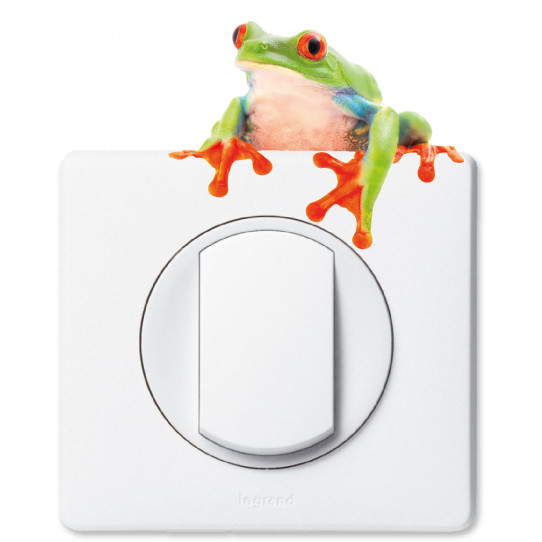 Stickers grenouille pour prise et interrupteur