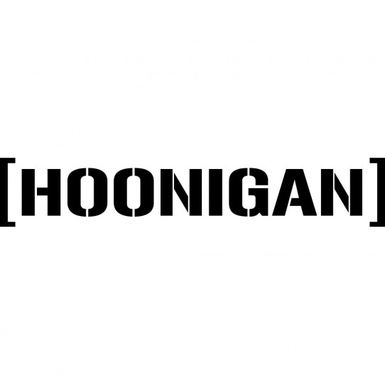Stickers hoonigan