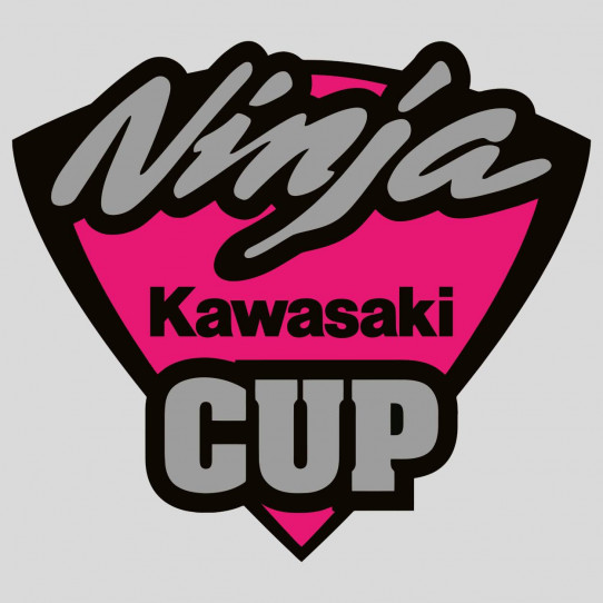 Stickers kawasaki ninja cup