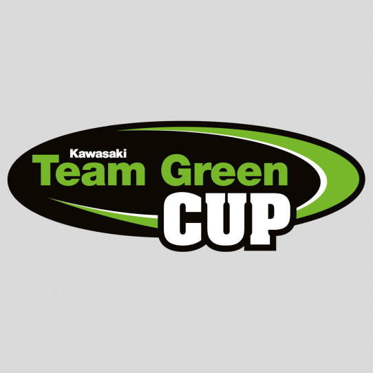 Stickers kawasaki team green cup