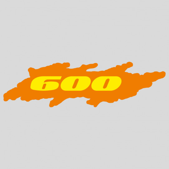 Stickers suzuki gsxf 600