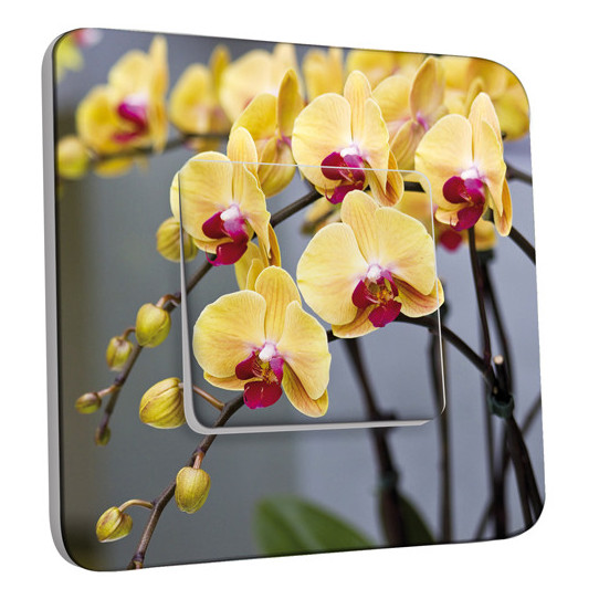 Interrupteur Décoré Simple Va et Vient - Orchidée jaune 