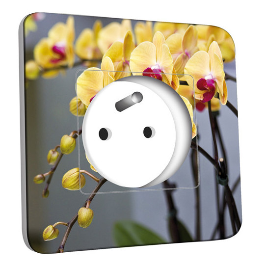 Prise décorée - Orchidée Jaune 