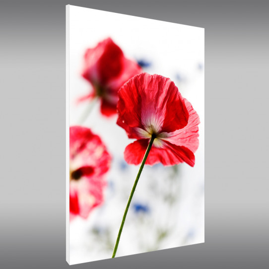 Tableau Forex Fleur