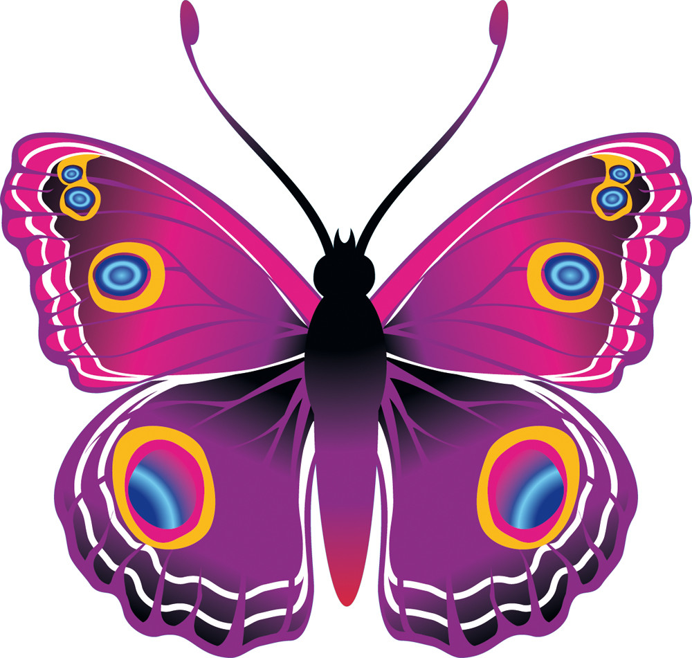 Sticker papillon en graphique pas cher - Filles discount